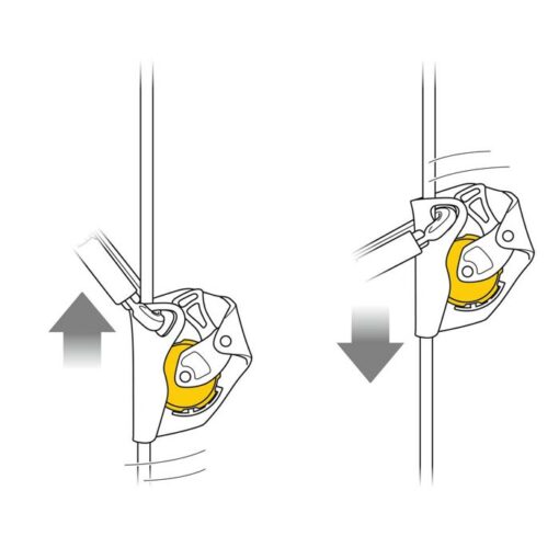 Das Bild zeigt eine Grafik zum mitlaufenden Auffanggerät Petzl ASAP. in Zwei Zeichnungen wird das Auf- und Abwärtslaufen amSeil dargestellt.