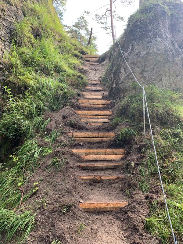 Das Bild zeigt eine Stiege aus Lärchenholf Stufen auf einem steilen Wanderweg als BEispiel für alpinen Wegebau.