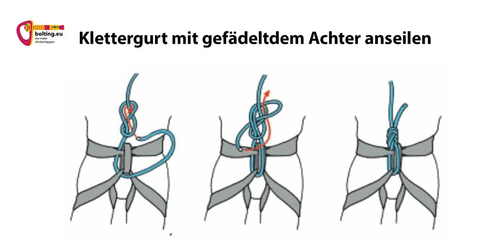 Grafik Klettergurt anseilen mit einem Achterknoten in drei Schritten.