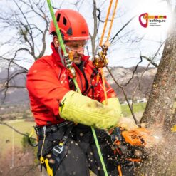 Baumklettern Ausrüstung