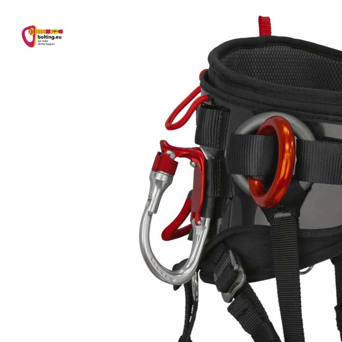 Detail eines Baumpflegergurtes mit silbernen Materialkarabiner an Hüftgurt fixiert.