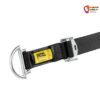 Stahl Öse des Petzl Connexion Vario Anschlagmittel mit Einstellschnalle.