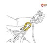 Grafik zur Erklörung einer Verwendung des Petzl Rollclip Z Karabiners mit Seilrolle bei der Baumpflege.